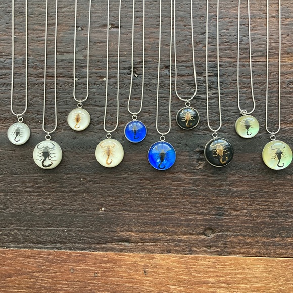 Real Scorpion Iridescent Festival Necklace Resin Taxidermy Pendant Scorpio - Picture 3 of 6